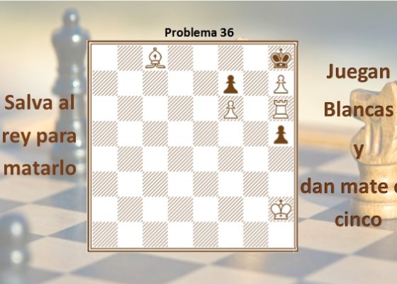 Diagrama 36 Salva al rey para matarlo